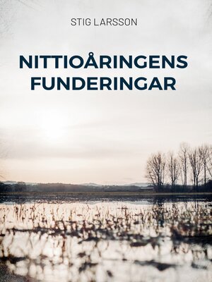 cover image of Nittioåringens funderingar